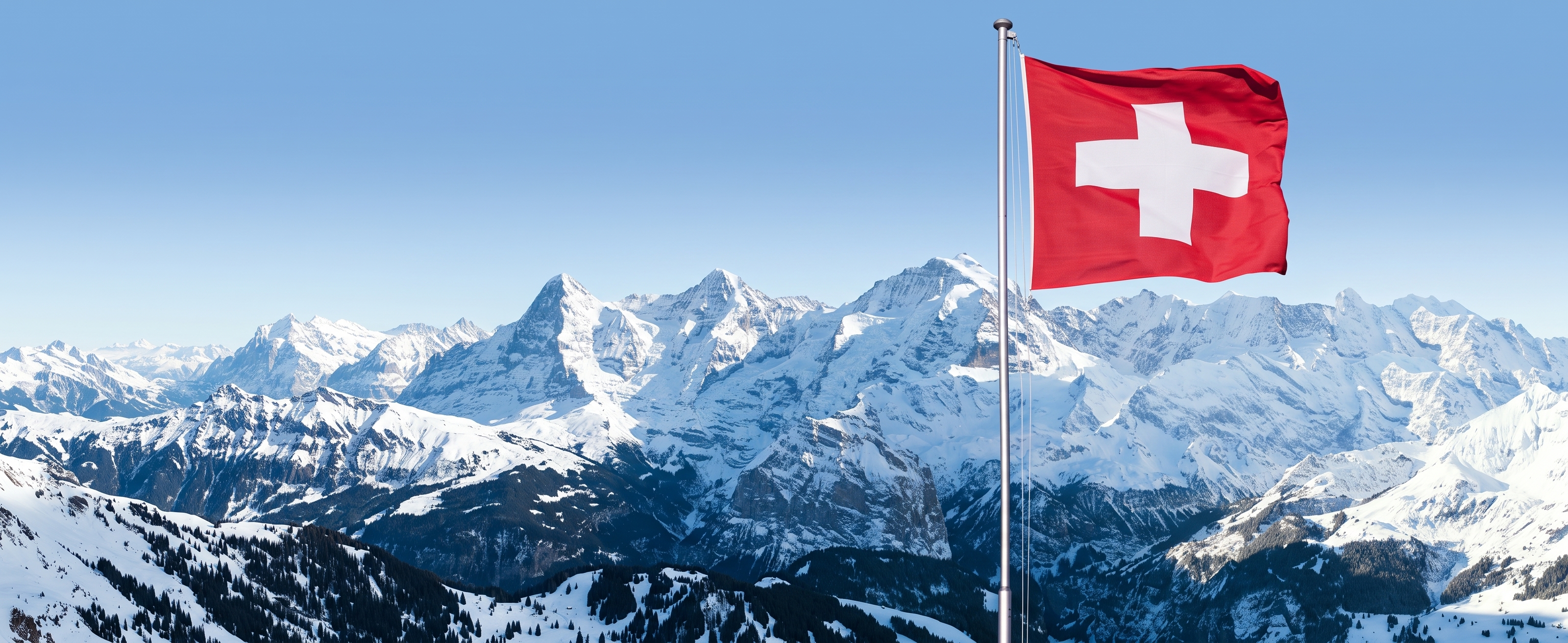 The top parcel delivery partners in Switzerland for online retailers
