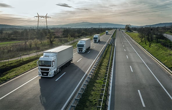 La complejidad de las fronteras aduaneras puede limitar a los proveedores en línea a la hora de expandirse.